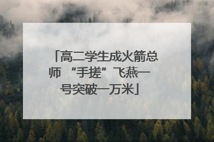 高二学生成火箭总师 “手搓”飞燕一号突破一万米
