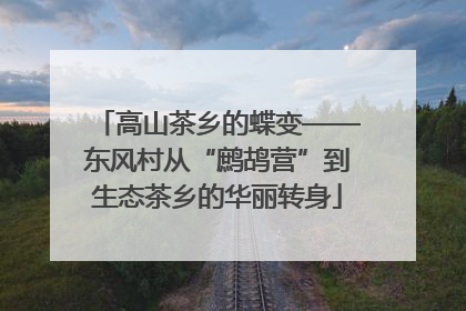 高山茶乡的蝶变——东风村从“鹧鸪营”到生态茶乡的华丽转身