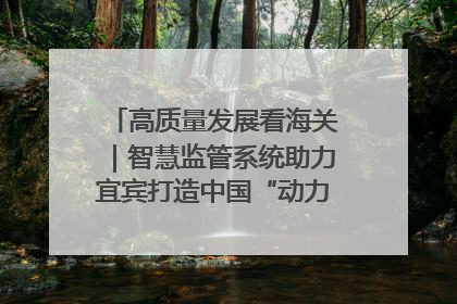 高质量发展看海关｜智慧监管系统助力宜宾打造中国“动力电池之都”