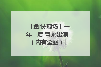 鱼眼·现场丨一年一度 驾龙出涌（内有全图）