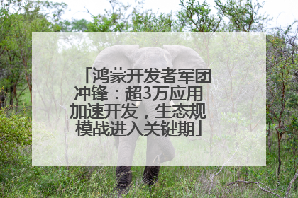 鸿蒙开发者军团冲锋：超3万应用加速开发，生态规模战进入关键期