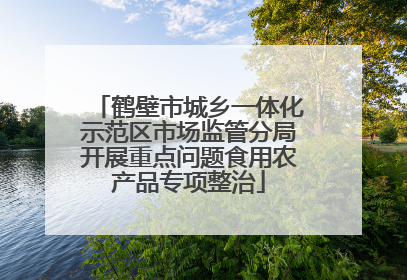 鹤壁市城乡一体化示范区市场监管分局开展重点问题食用农产品专项整治