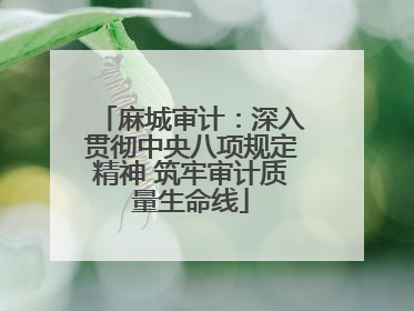 麻城审计：深入贯彻中央八项规定精神 筑牢审计质量生命线