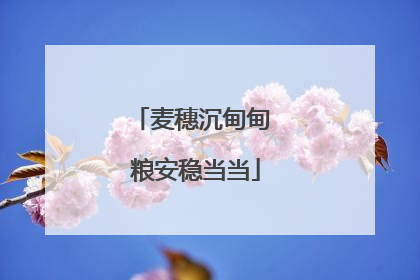 麦穗沉甸甸 粮安稳当当