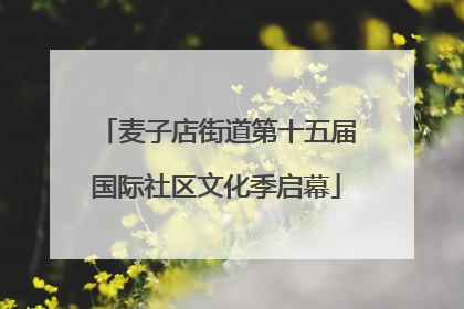 麦子店街道第十五届国际社区文化季启幕