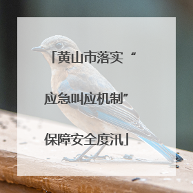 黄山市落实“应急叫应机制”保障安全度汛