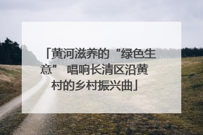黄河滋养的“绿色生意” 唱响长清区沿黄村的乡村振兴曲