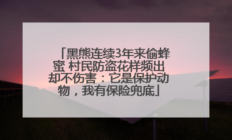 黑熊连续3年来偷蜂蜜 村民防盗花样频出却不伤害：它是保护动物，我有保险兜底
