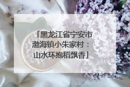 黑龙江省宁安市渤海镇小朱家村：山水环抱稻飘香