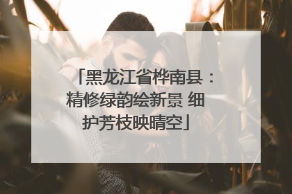 黑龙江省桦南县：精修绿韵绘新景 细护芳枝映晴空