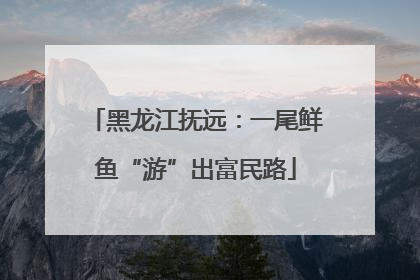 黑龙江抚远：一尾鲜鱼“游”出富民路
