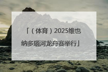（体育）2025维也纳多瑙河龙舟赛举行