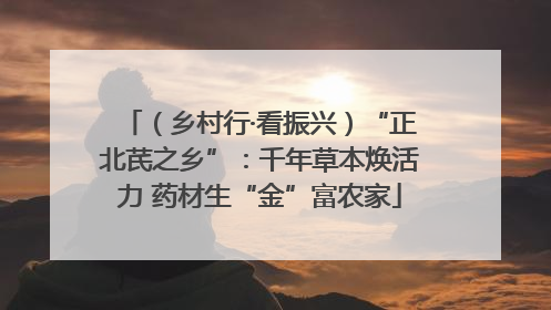 （乡村行·看振兴）“正北芪之乡”：千年草本焕活力 药材生“金”富农家