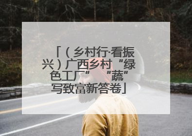 （乡村行·看振兴）广西乡村“绿色工厂” “蔬”写致富新答卷