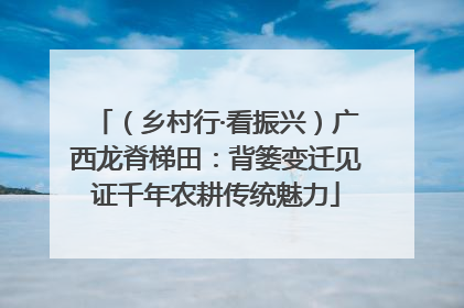 （乡村行·看振兴）广西龙脊梯田：背篓变迁见证千年农耕传统魅力