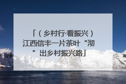 （乡村行·看振兴）江西信丰一片茶叶“沏”出乡村振兴路
