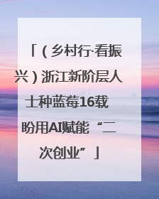 （乡村行·看振兴）浙江新阶层人士种蓝莓16载 盼用AI赋能“二次创业”