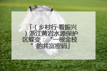 （乡村行·看振兴）浙江黄岩水源保护区蝶变：“一根金枝”的共富密码