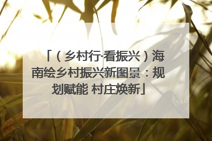 （乡村行·看振兴）海南绘乡村振兴新图景：规划赋能 村庄焕新