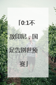 0:1不敌印尼，国足告别世预赛