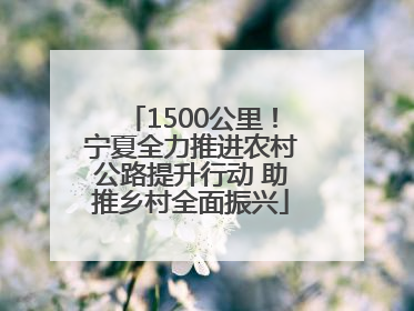 1500公里！宁夏全力推进农村公路提升行动 助推乡村全面振兴