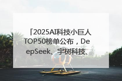 2025AI科技小巨人TOP50榜单公布，DeepSeek、宇树科技、蘑菇车联等企业荣誉上榜