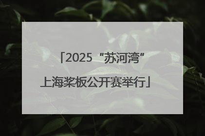 2025“苏河湾”上海桨板公开赛举行