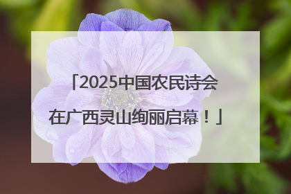 2025中国农民诗会在广西灵山绚丽启幕！