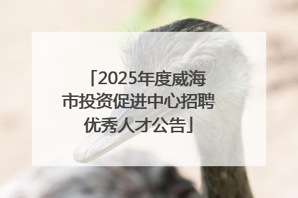2025年度威海市投资促进中心招聘优秀人才公告