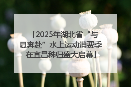 2025年湖北省“与夏奔赴”水上运动消费季在宜昌秭归盛大启幕