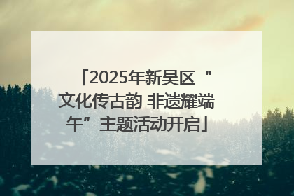 2025年新吴区“文化传古韵 非遗耀端午”主题活动开启