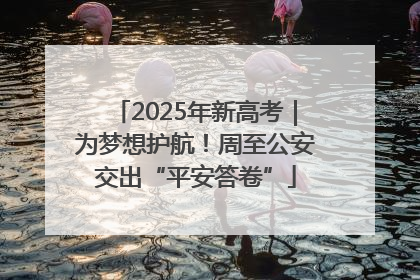2025年新高考｜为梦想护航！周至公安交出“平安答卷”