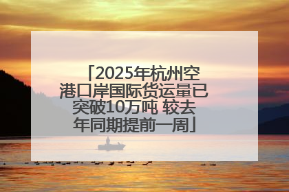2025年杭州空港口岸国际货运量已突破10万吨 较去年同期提前一周