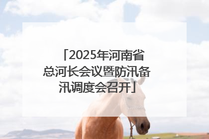 2025年河南省总河长会议暨防汛备汛调度会召开