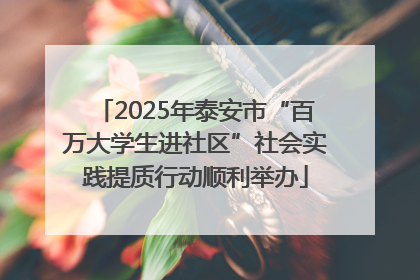 2025年泰安市“百万大学生进社区”社会实践提质行动顺利举办