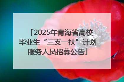 2025年青海省高校毕业生“三支一扶”计划服务人员招募公告