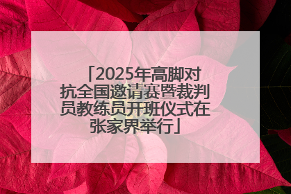 2025年高脚对抗全国邀请赛暨裁判员教练员开班仪式在张家界举行