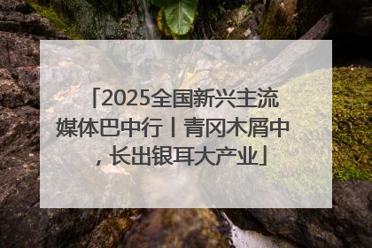 2025全国新兴主流媒体巴中行丨青冈木屑中，长出银耳大产业