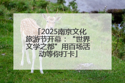2025南京文化旅游节开幕：“世界文学之都”用百场活动等你打卡