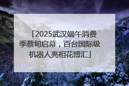 2025武汉端午消费季蔡甸启幕，百台国际级机器人亮相花博汇