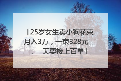 25岁女生卖小狗花束月入3万，一束328元，一天要接上百单