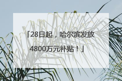 28日起，哈尔滨发放4800万元补贴！