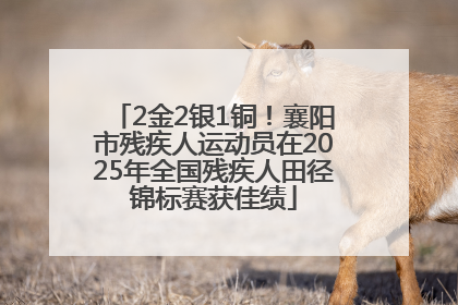 2金2银1铜！襄阳市残疾人运动员在2025年全国残疾人田径锦标赛获佳绩