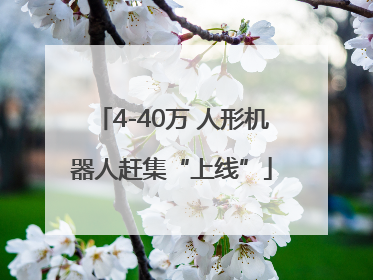 4-40万 人形机器人赶集“上线”