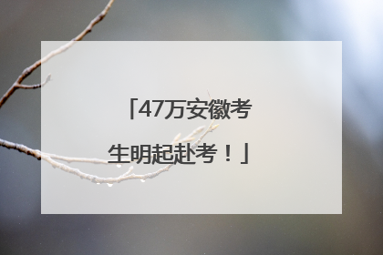 47万安徽考生明起赴考！