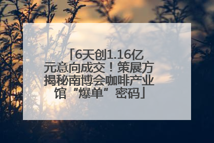 6天创1.16亿元意向成交！策展方揭秘南博会咖啡产业馆“爆单”密码