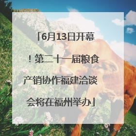 6月13日开幕！第二十一届粮食产销协作福建洽谈会将在福州举办