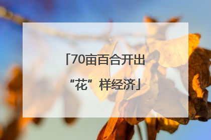 70亩百合开出“花”样经济