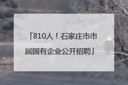 810人！石家庄市市属国有企业公开招聘