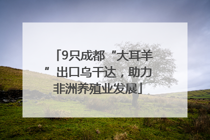 9只成都“大耳羊”出口乌干达，助力非洲养殖业发展